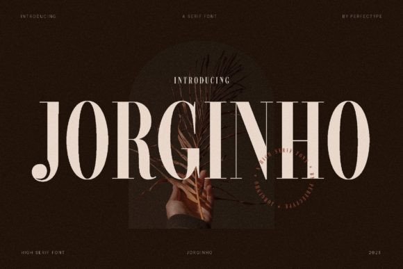 Jorginho Font: A Designer’s Journey Through a Modern Serif for Branding