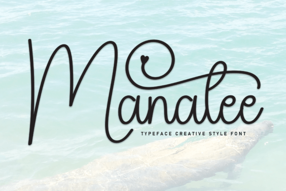 Manatee: A Sweet Handwritten Font for Crafters and Makers