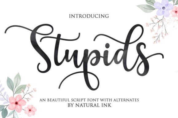 Stupids: The Elegant Script Font for Your Brand